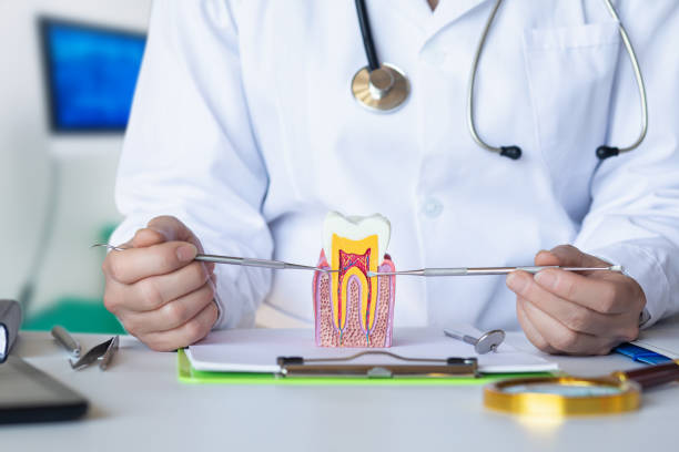 Best Broken or Cracked Tooth Emergency Dentist in Sunman, IN